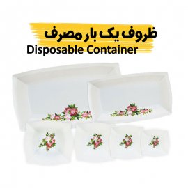 Disposable container